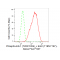 LifeSab™ Phospho-Erk1 (T202/Y204) + Erk2 (T185/Y187) Rabbit mAb (20 μl)