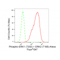 LifeSab™ Phospho-ERK1 (T202) + ERK2 (T185) Rabbit mAb (20 μl)