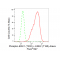 LifeSab™ Phospho-ERK1 (T202) + ERK2 (T185) Rabbit mAb (20 μl)