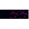 LifeSab™ Phospho-ERK1 (T202) + ERK2 (T185) Rabbit mAb (20 μl)