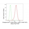 LifeSab™ Phospho-Erk1 (T202/Y204) + Erk2 (T185/Y187) Rabbit mAb (20 μl)