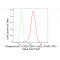 LifeSab™ Phospho-Erk1 (T202/Y204) + Erk2 (T185/Y187) Rabbit mAb (20 μl)