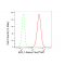 LifeSab™ MCL1 Rabbit mAb (20 μl)