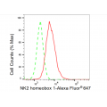 LifeSab™ TTF-1 Rabbit mAb (20 μl)