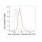 LifeSab™ TTF-1 Rabbit mAb (20 μl)