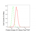 LifeSab™ PRKD1 Rabbit mAb (20 μl)