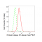 LifeSab™ PRKD1 Rabbit mAb (20 μl)