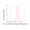 LifeSab™ CD185 Rabbit mAb (20 μl)