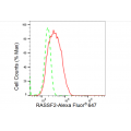 LifeSab™ RASSF2 Rabbit mAb (20 μl)