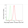 LifeSab™ RNF14 Rabbit mAb (20 μl)