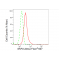 LifeSab™ SKP2 Rabbit mAb (20 μl)