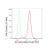 LifeSab™ SLC2A3 Rabbit mAb (20 μl)