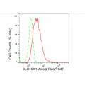 LifeSab™ SLC16A1 Rabbit mAb (20 μl)