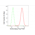 LifeSab™ SOX2 Rabbit mAb (20 μl)