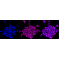 LifeSab™ SYN2 Rabbit mAb (20 μl)