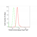 LifeSab™ TEAD1/2/3/4 Rabbit mAb (20 μl)