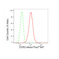 LifeSab™ DCR2 Rabbit mAb (20 μl)