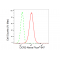 LifeSab™ DCR2 Rabbit mAb (20 μl)