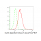 LifeSab™ CDK1 Rabbit mAb (20 μl)