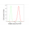 LifeSab™ RAB8A Rabbit mAb (20 μl)