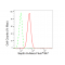 LifeSab™ Septin 8 Rabbit mAb (20 μl)