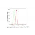 LifeSab™ SF3A3 Rabbit mAb (20 μl)