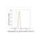 LifeSab™ SF3A3 Rabbit mAb (20 μl)