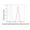 LifeSab™ SFRP4 Rabbit mAb (20 μl)