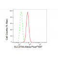 LifeSab™ SLC27A4 Rabbit mAb (20 μl)