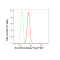 LifeSab™ SLC27A4 Rabbit mAb (20 μl)