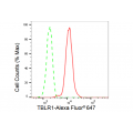 LifeSab™ TBLR1 Rabbit mAb (20 μl)