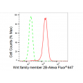 LifeSab™ WNT2B Rabbit mAb (20 μl)