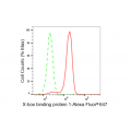 LifeSab™ XBP1 Rabbit mAb (20 μl)