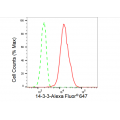 LifeSab™ YWHAB Rabbit mAb (20 μl)