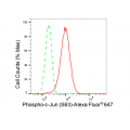 LifeSab™ Phospho-c-Jun (S63) Rabbit mAb (20 μl)