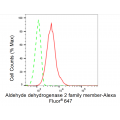 LifeSab™ ALDH2 Rabbit mAb (20 μl)