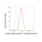 LifeSab™ KD-Validated KIF11 Rabbit mAb (20 μl)