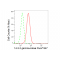 LifeSab™ KD-Validated YWHAG Rabbit mAb (20 μl)