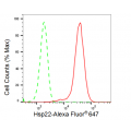 KD-Validated Hsp22 Rabbit mAb (20 μl)