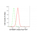 KD-Validated EIF4EBP1 Rabbit mAb (20 μl)