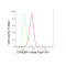 LifeSab™ KD-Validated EIF4EBP1 Rabbit mAb (20 μl)