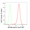 LifeSab™ KD-Validated MCM6 Rabbit mAb (20 μl)