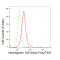 LifeSab™ KD-ValidateNUP155 Rabbit mAb (20 μl)