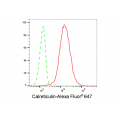 LifeSab™ KD-Validated CRT Rabbit mAb (20 μl)