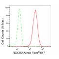 LifeSab™ KD-Validated ROCK2 Rabbit mAb (20 μl)