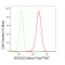 LifeSab™ KD-Validated ROCK2 Rabbit mAb (20 μl)