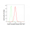 LifeSab™ KD-Validated INSR Rabbit mAb (20 μl)