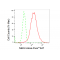 LifeSab™ KD-Validated NEK2 Rabbit mAb (20 μl)