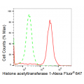 LifeSab™ KD-Validated HAT1 Rabbit mAb (20 μl)