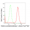 LifeSab™ KD-Validated HAT1 Rabbit mAb (20 μl)